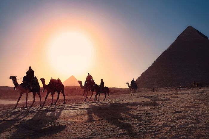 エジプト大使館 文化・教育・科学局 | Embassy of Egypt Culture